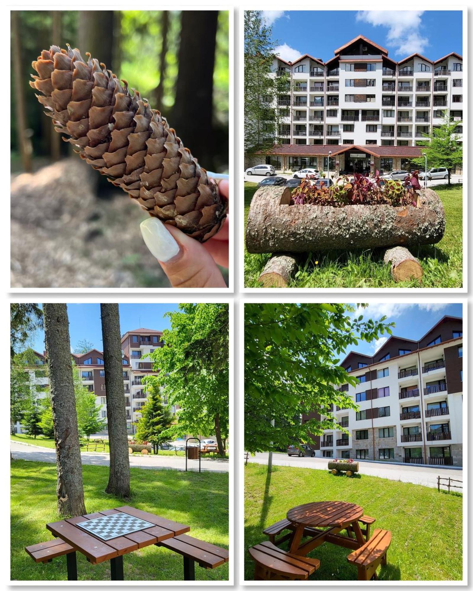 בורובץ The Green Apartment מראה חיצוני תמונה